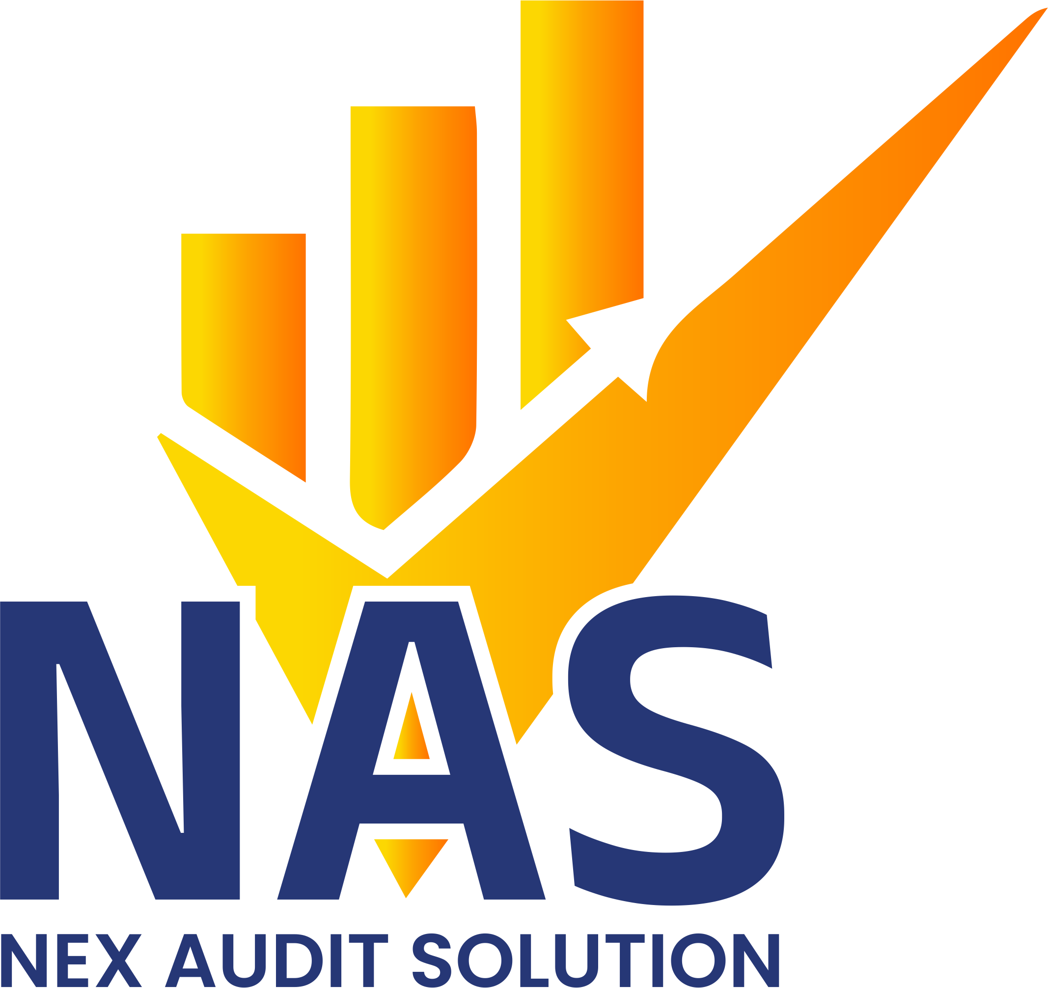 Nexauditsolution